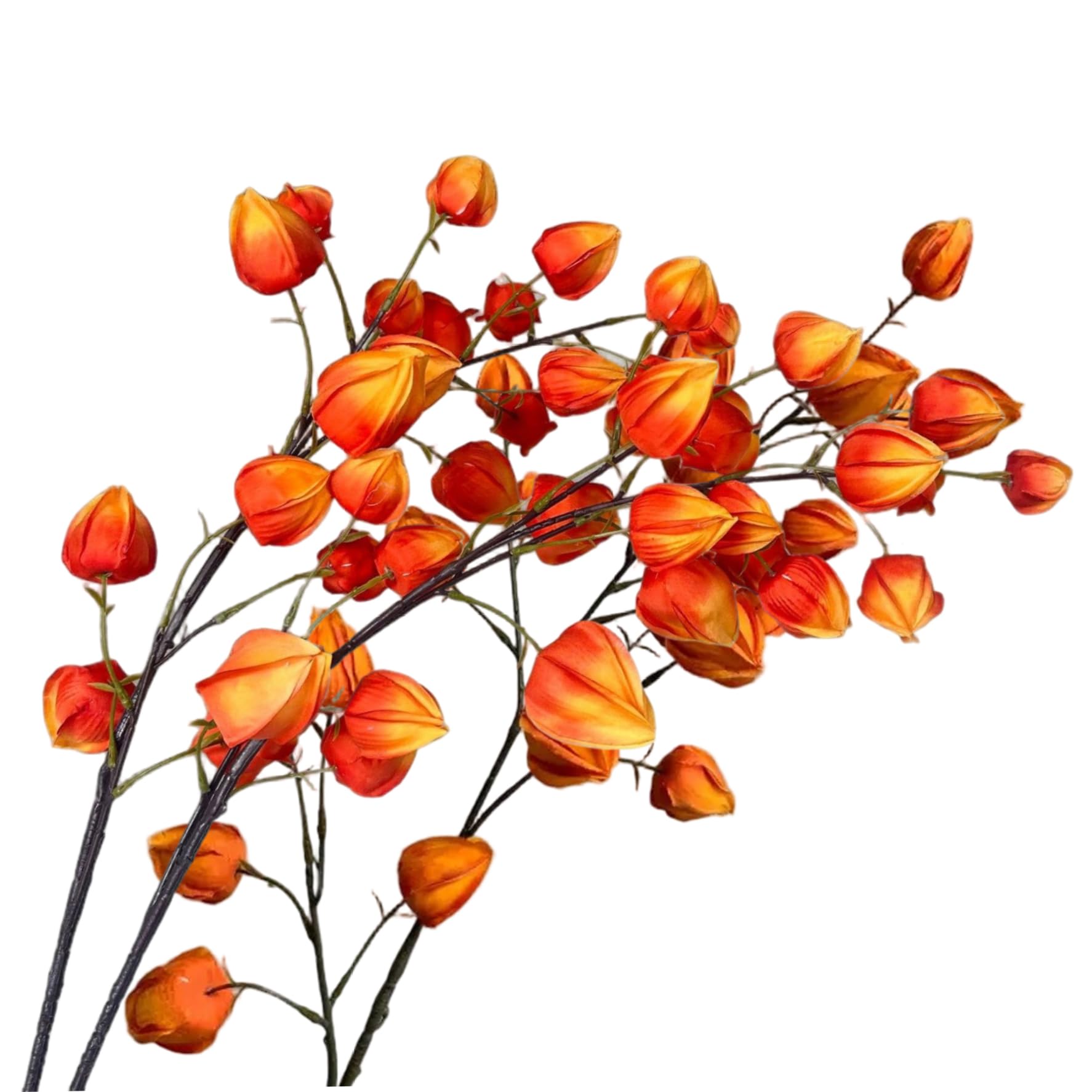 Fausses branches d'automne durables pour remplacer les plantes qui fanent vite