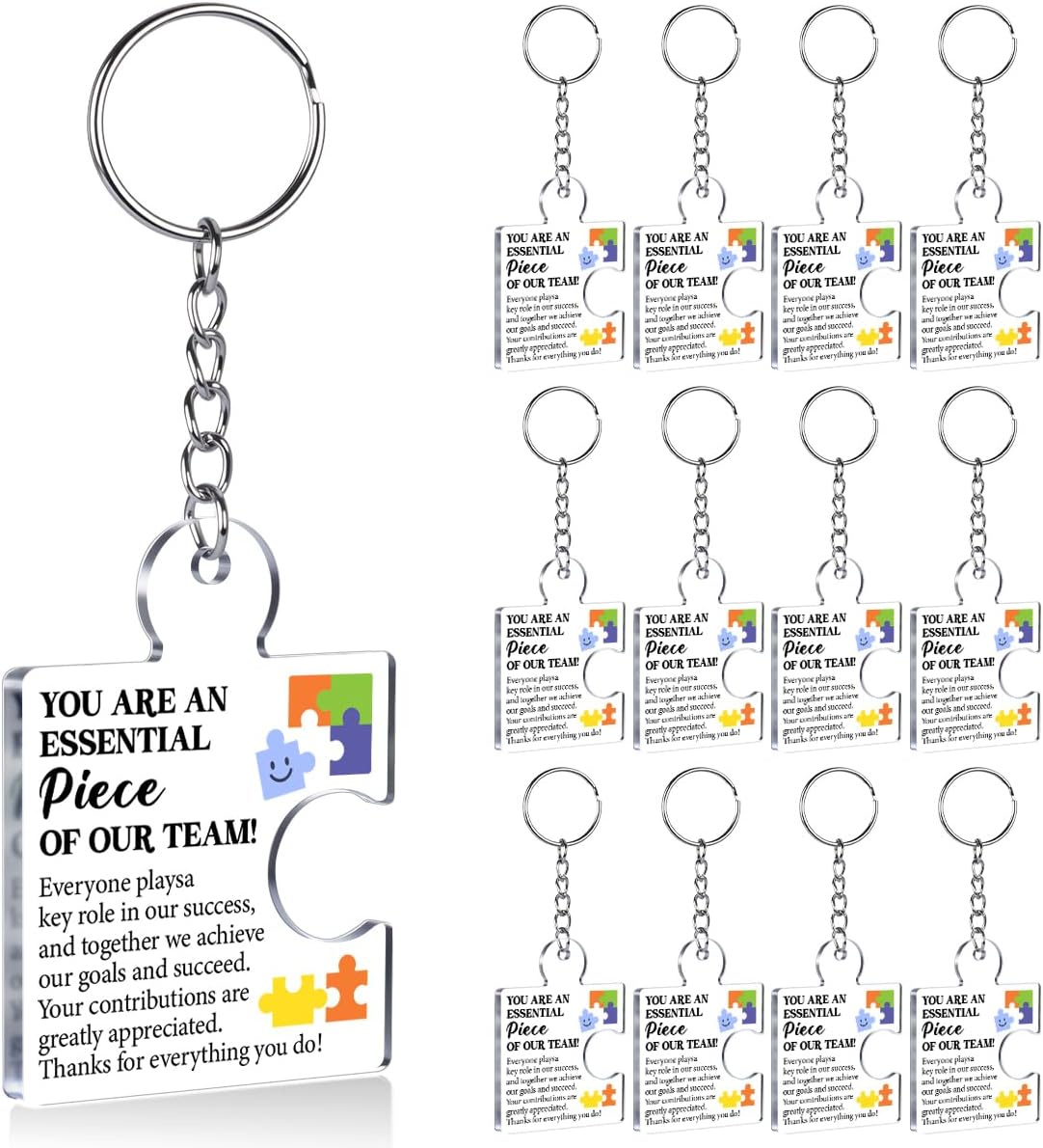 Team Appreciation Gifts Bulk for Coworkers Employees Colleagues, Thank You Gift Set Acrylic Puzzle Piece Keychains