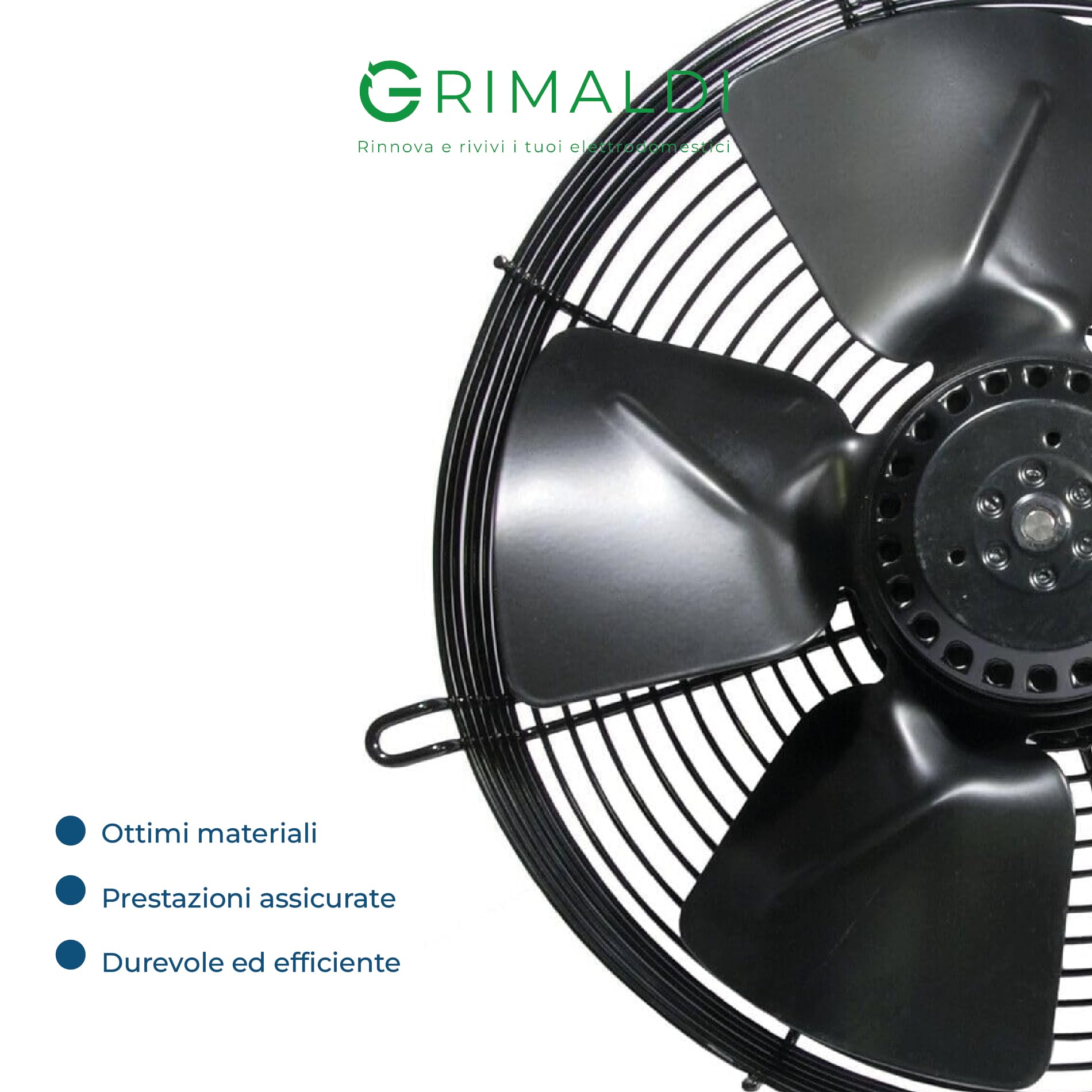 G GRIMALDI Ventilatore Assiale Aspirante Ø 250 mm Compatibile 23510013 — 220V 1400rpm — Flusso Aria Potente — Ricambio Alternativo per Estrattori e Refrigerazione