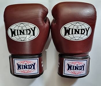Amazon.co.jp: WINDY ウィンディ キック ボクシンググローブ BGVH