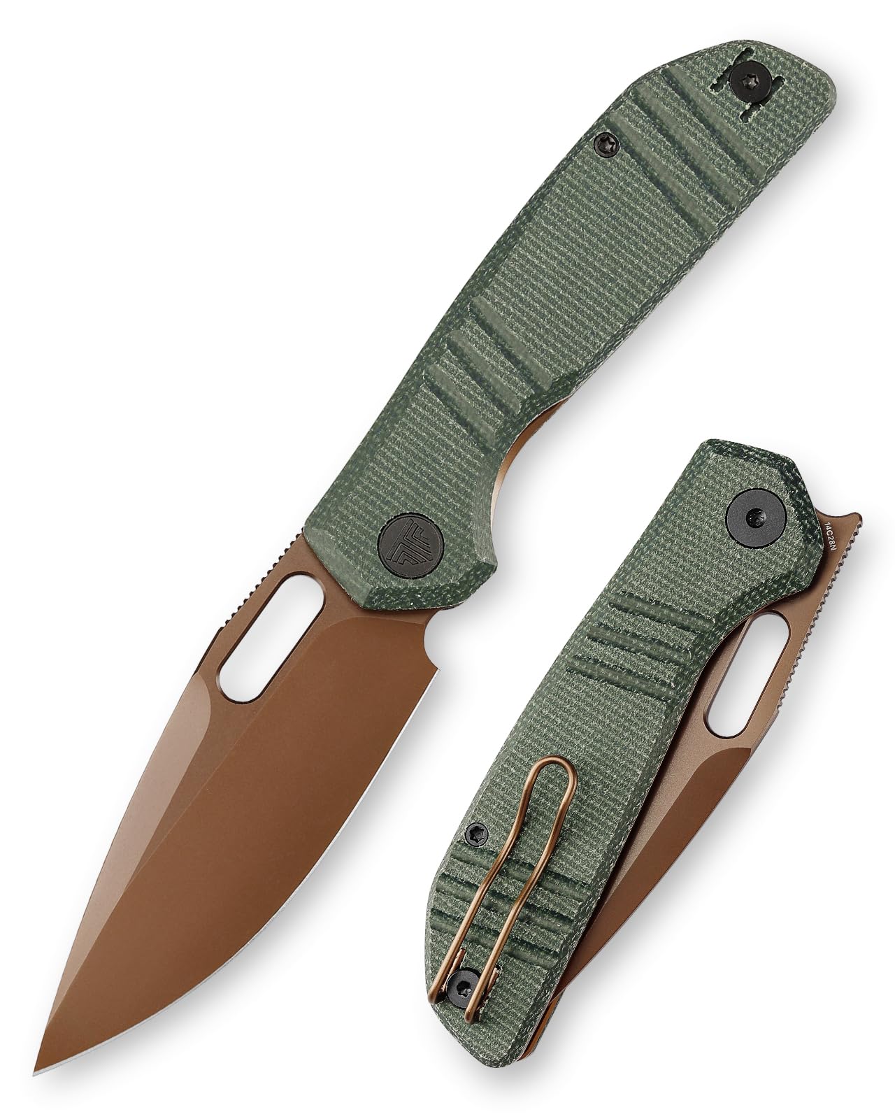 Amazon.com : TRIVISA Gecko Folding Pocket Knife, 3.4
