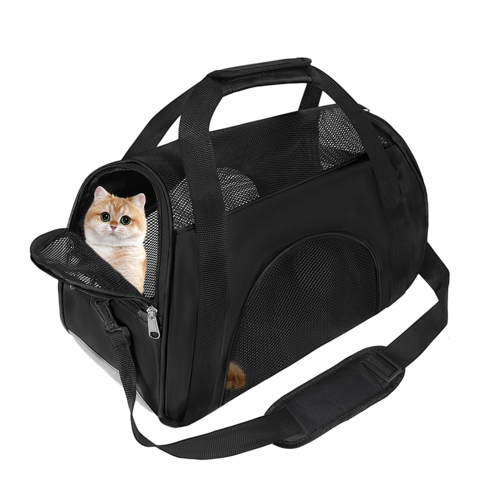 Soft Sided Portable Cat Carrier