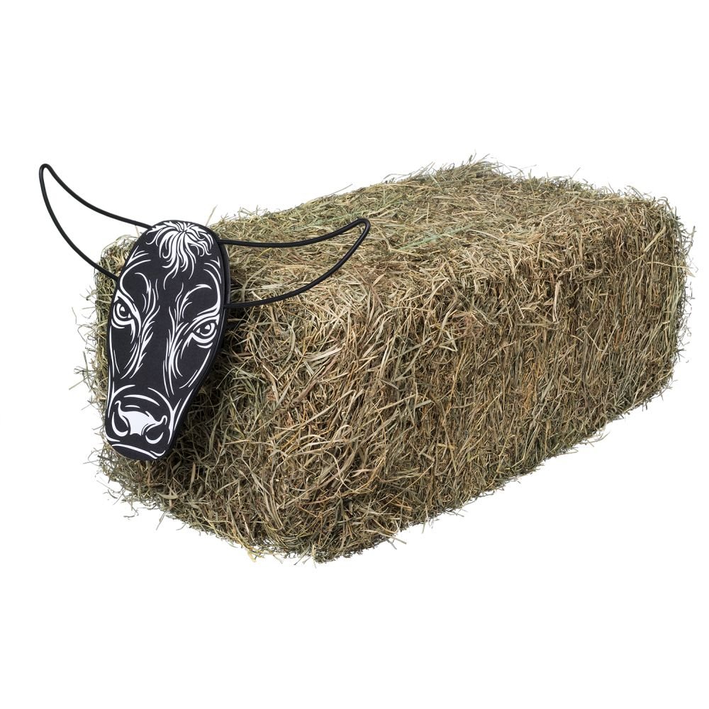 Tough 1 Quick Release Steer Head