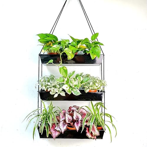 LaLaGreen - Maceta escalonada de 16 pulgadas para plantas suculentas de interior, maceta rectangular moderna de metal negro de 3 niveles