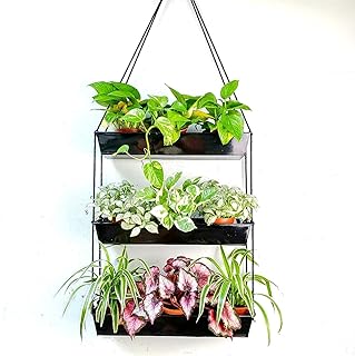 LaLaGreen 16 Inch Wall Mounted Tiered Planter for Indoor Succulent Plant...