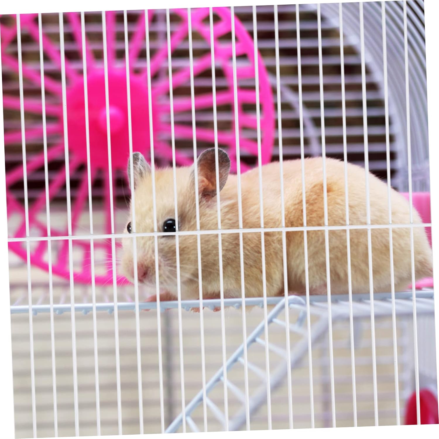 BESPORTBLE Pet Iron Net Baffle Segregation Board for Hamsters Durable White Divider for Cages Easy to Install Safe Separation of Pets