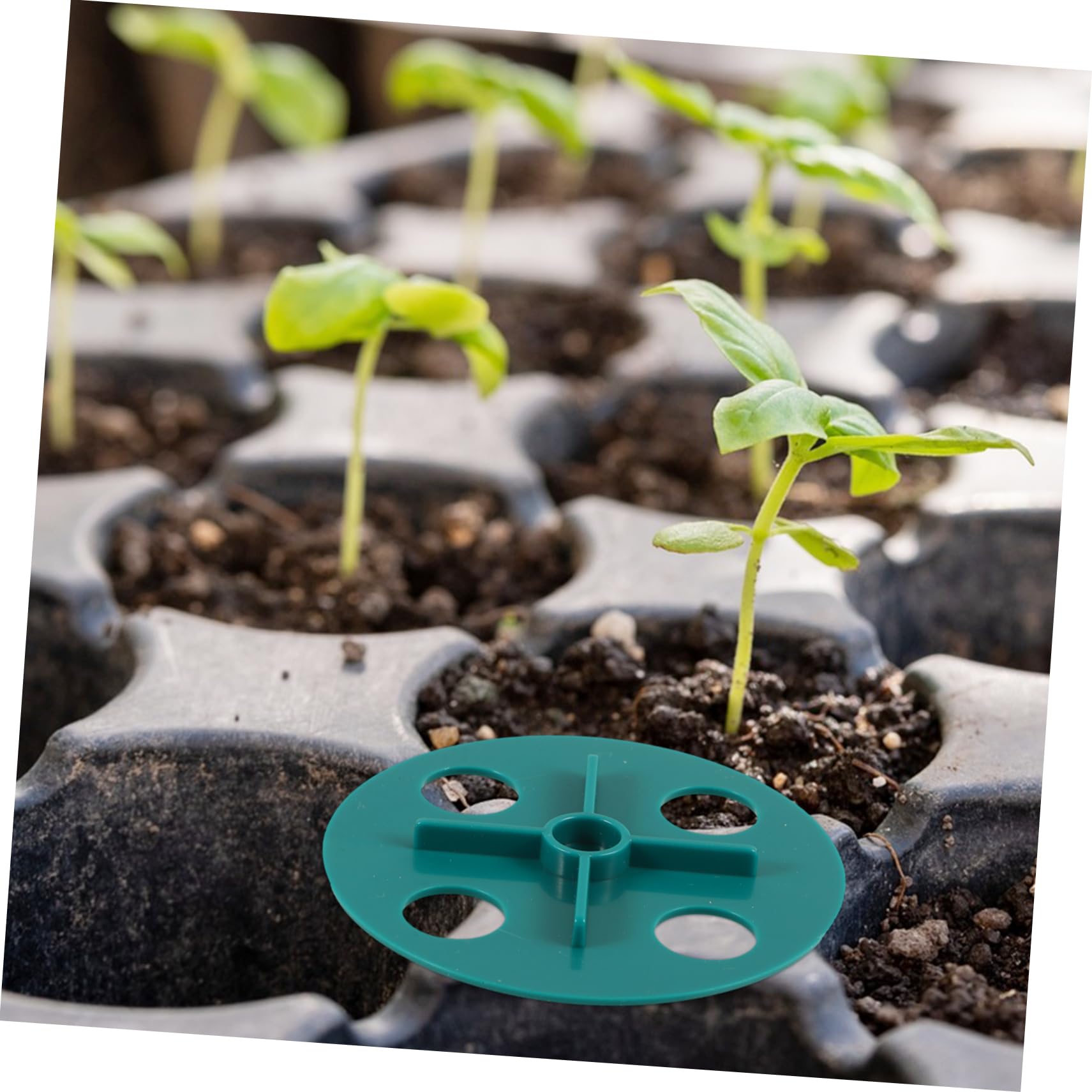 Pot Vent Plant Pot Cover Toddmomy 20pcs Plant Pot Vent Covers - Green Plastic ...
