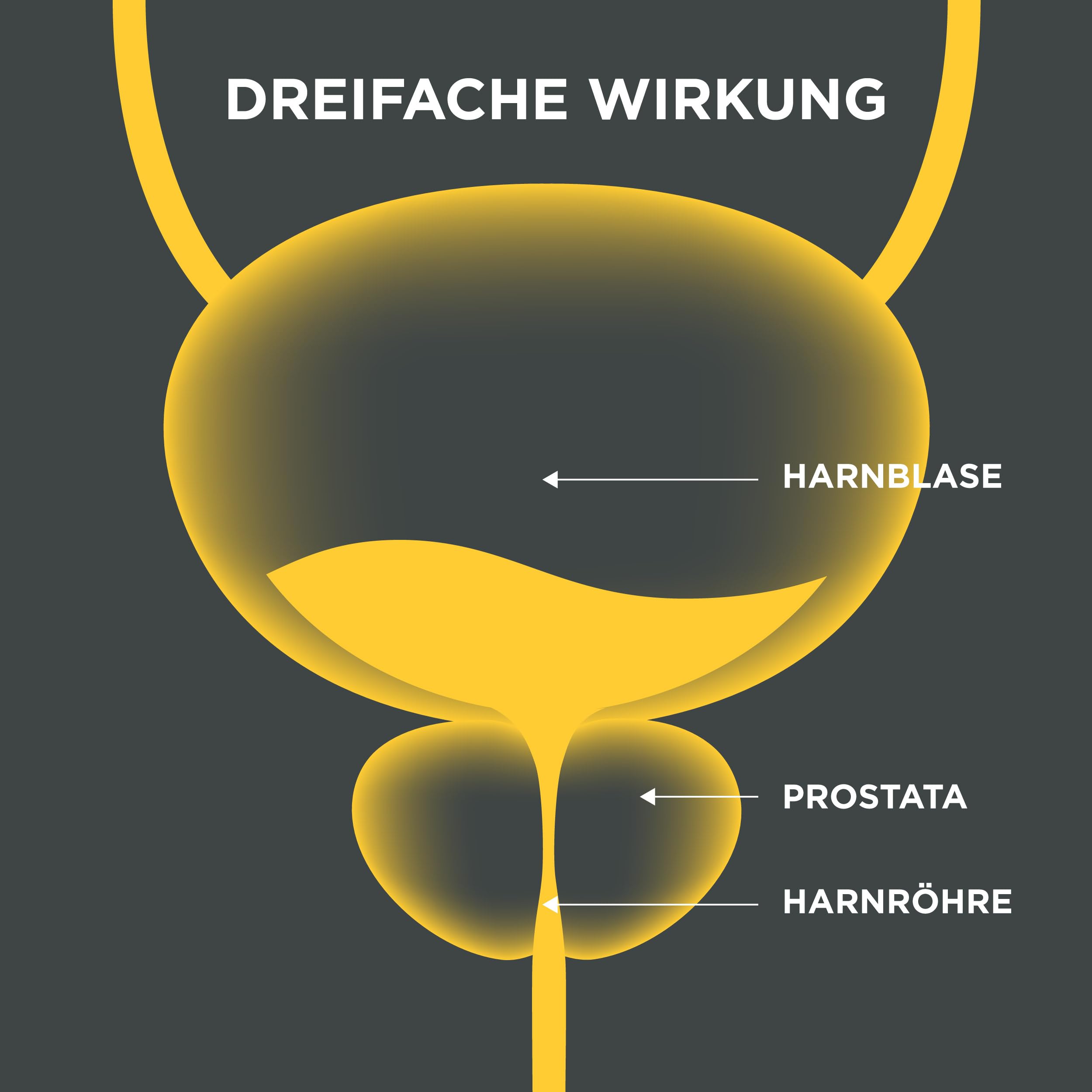 Innovation für gesunde Prostata. Starke flüssige Formel mit einer dreifachen Wirkung. Cucurbita pepo, Serenoa repens, Flowens®. 1 Kapsel täglich. Im Labor getestet. (60 Kapseln)