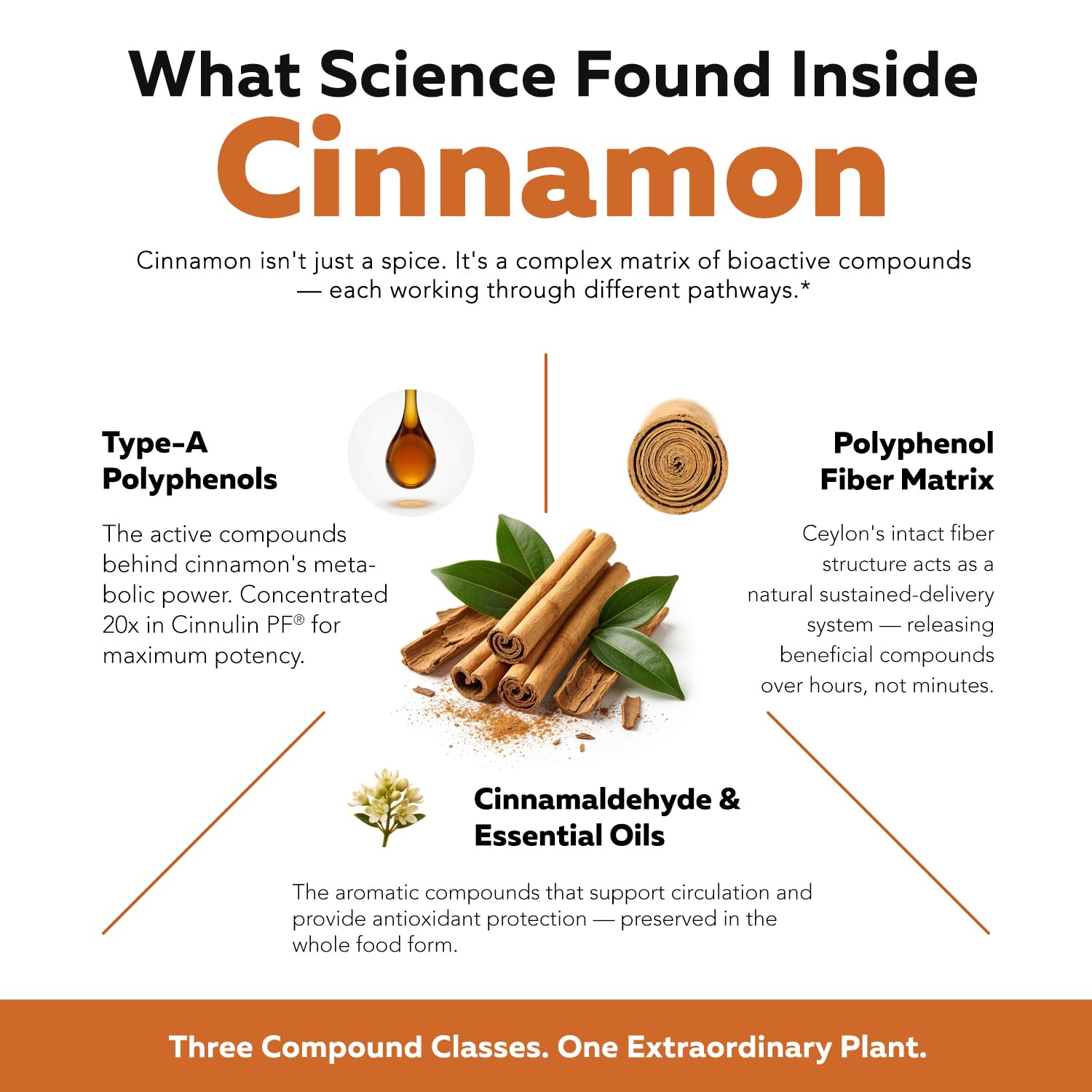 SoActive Cinnamon - 1000mg, Cinnulin PF® Extract + Organic Ceylon Cinnamon Capsules, 20x Active Compounds, Support for Metabolism, Heart & Hormonal Health, Clinically Studied Dose (60 Vegan Capsules) — Amazon image 5