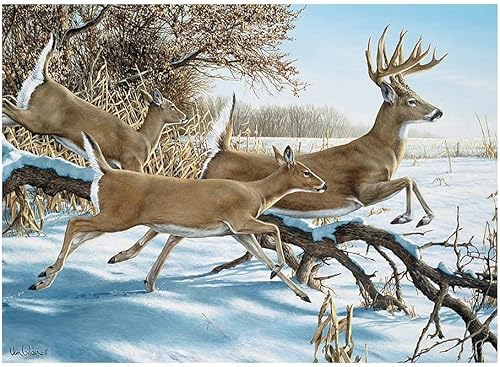 Cobble Hill - Rompecabezas de 1000 piezas, cubierta de ruptura, póster de muestra incluido