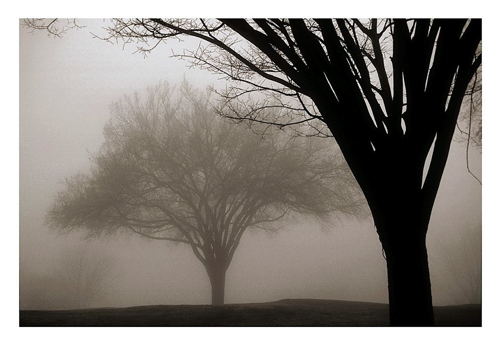 The Poster CorpMemories of Winter - Poster by David Lorenz Winston (26 x 18)