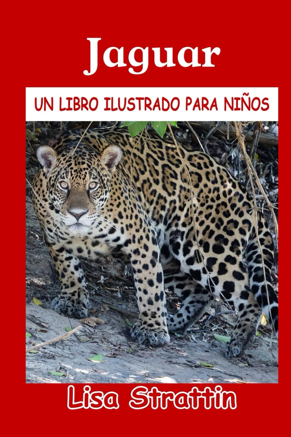 Jaguar (Libros Ilustrados para Niños)
