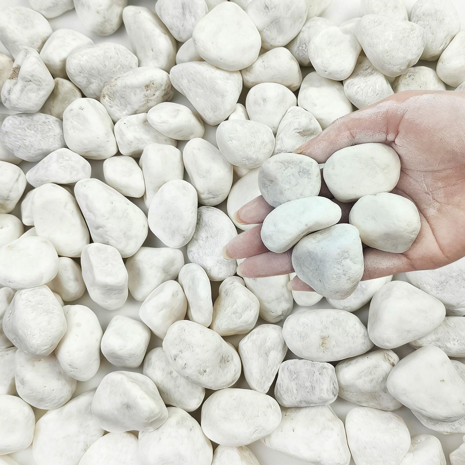 FANTIAN 40 lbs White Rocks