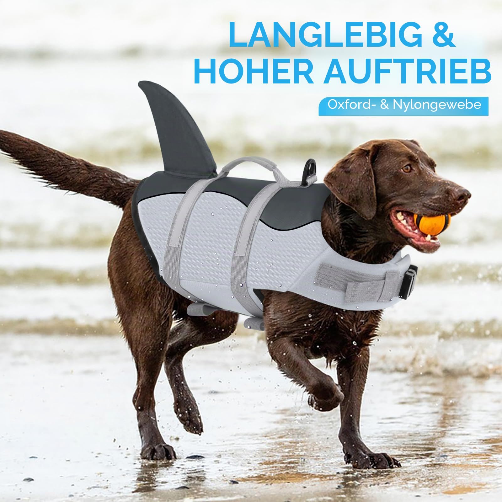 AOFITEE Schwimmweste Hund XS, Verstellbar Hundeschwimmweste Hai, Hoher Auftrieb Klein Hunde Schwimmweste mit Rettungsgriff und Reflektierend, Dackel Rettungsweste Hund für Wassersport, Grau, XS