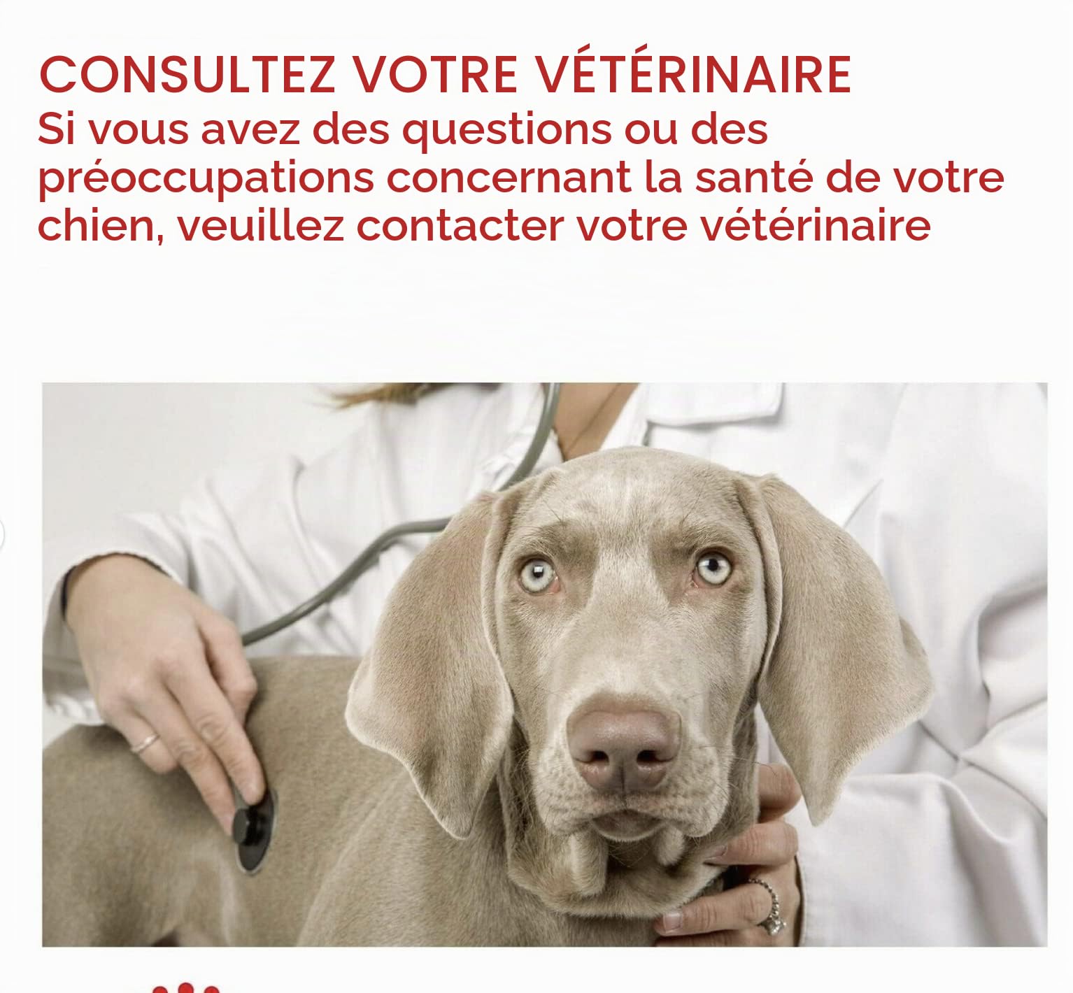 Royal Canin - Croquettes Maxi Light Weight Care - Sac De 12 Kg
