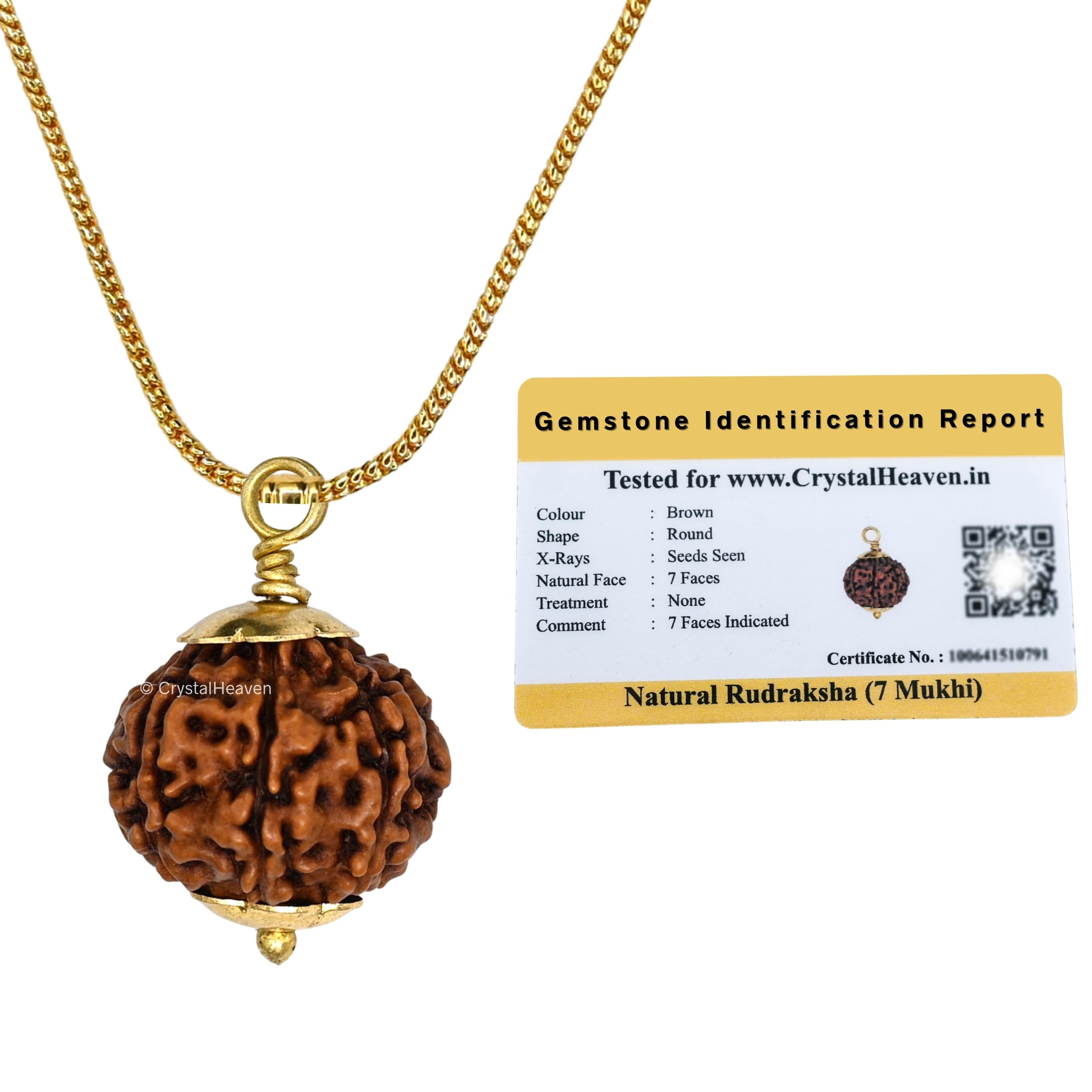 Crystal Heaven Rudraksha Original 7 Mukhi Pendant Necklace for Women Men | Certified Rudraksha with Velvet Pouch (Gold)