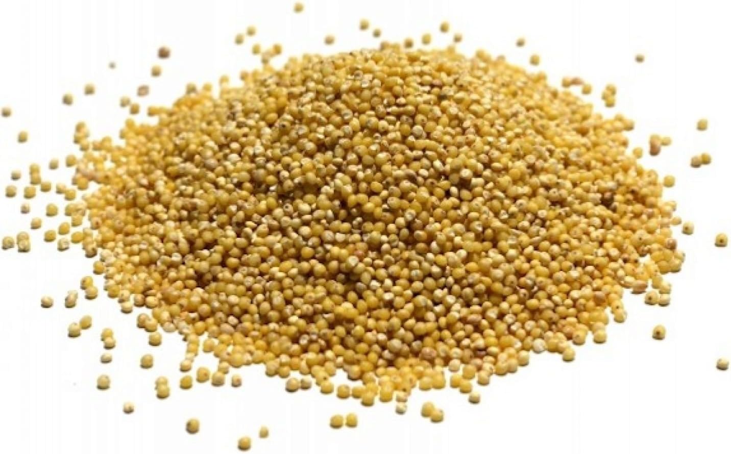 Bulk Grains 100% Organic Millet Hulled - Single Bulk Item - 25LB