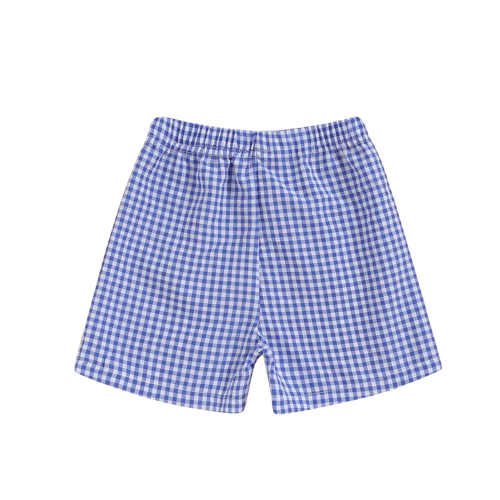 Baby Girl Shorts Toddler Girl Shorts 2T 3T 4T 5T Girl Plaid Short Bottom Summer Girl Clothes (Blue, 18-24 Months)