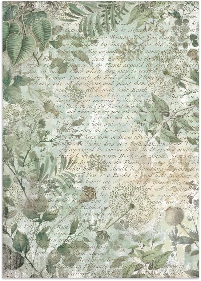 Stamperia - Junk Journal Stickers, Cut-Outs, and Backgrounds for Scrapbooks, Albums, Card Making, Bullet Journalling and More, Perfect for Hobbies, Crafts, and Gifting (Herbarium Silvae)