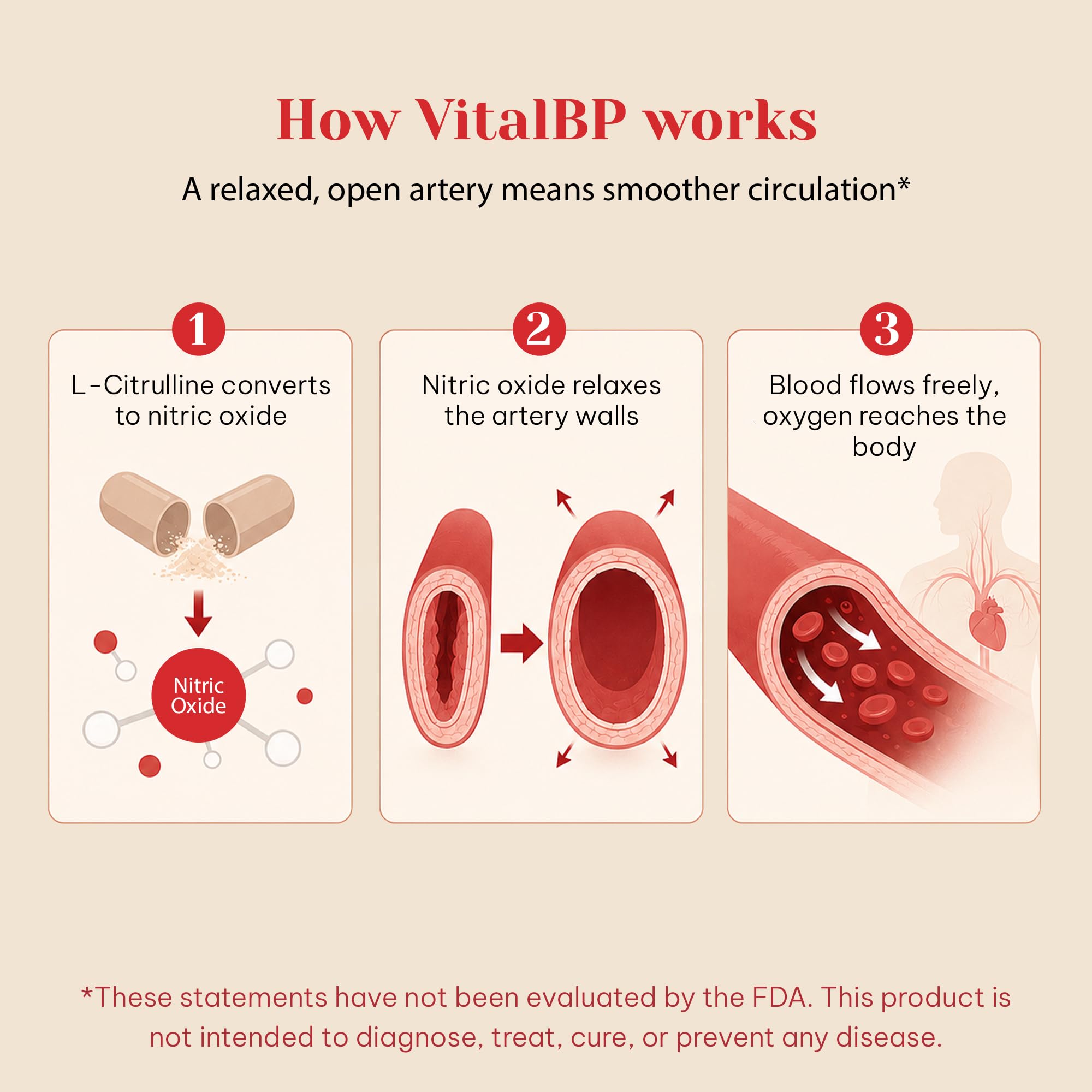 VitalBP Blood Pressure, Blood Flow & Artery Support, CoQ10, K2 & D3, 60Caps — Amazon image 5