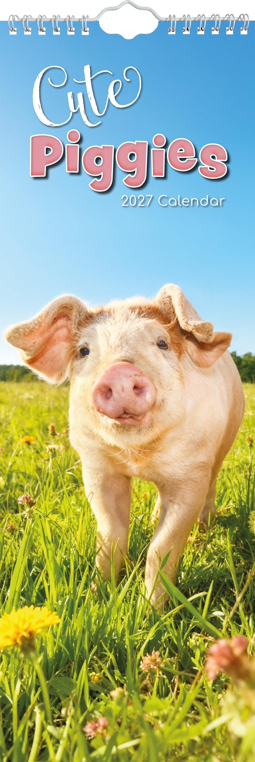 TGSC | Cute Piggies 2027 Slimline Calendar (Jan–Dec 2027), UK Planner with Animals, Includes UK Holidays, For Home and Office Organisation | 42 x 15 cm