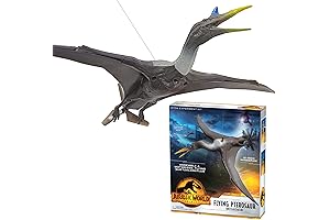Build & Fly a Motorized Model of the Largest Flying Creature from Prehistoric times