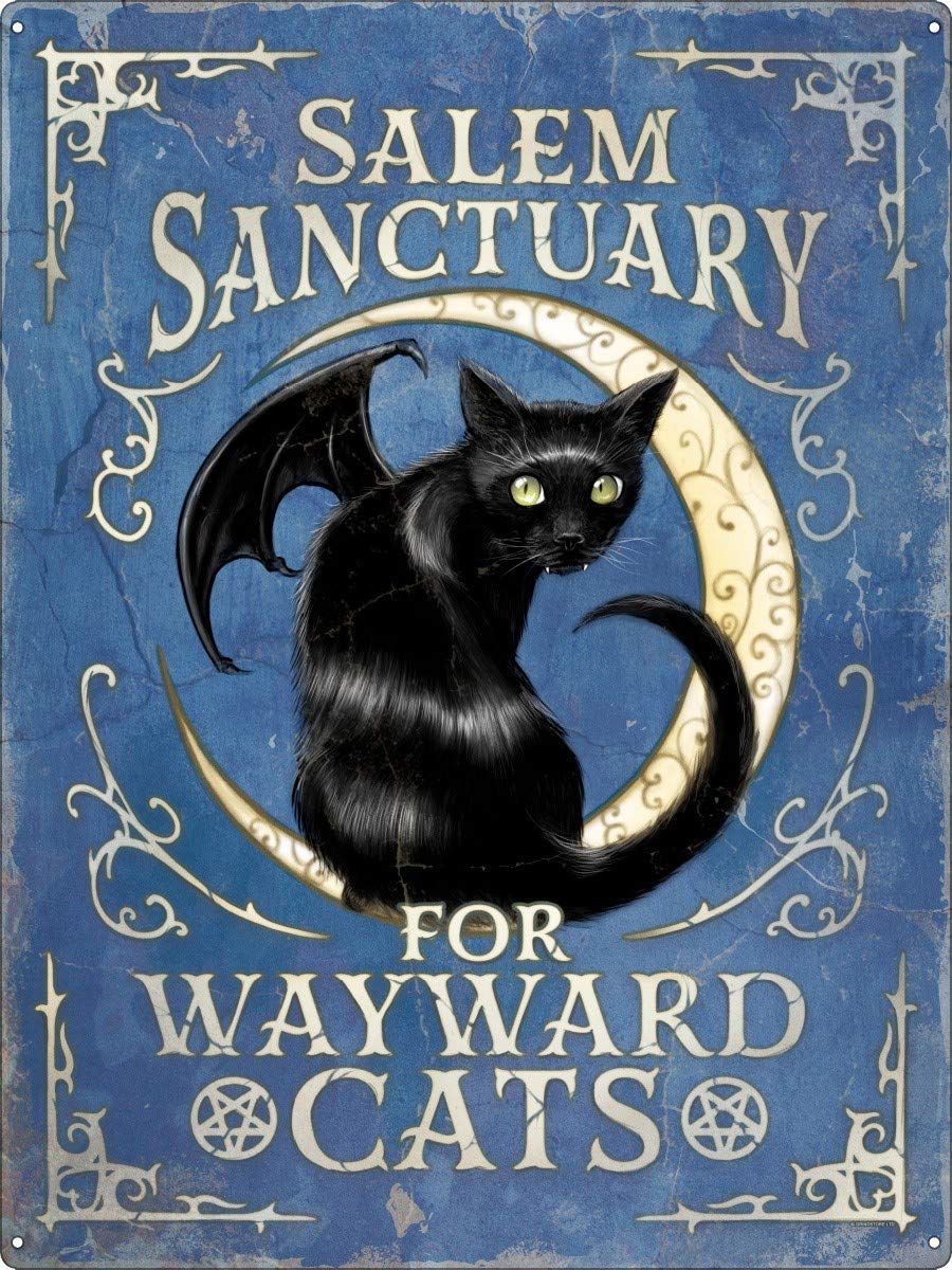 Grindstore Nc Salem Sanctuary For Wayward Cats Tin Sign Blue 30.5X40.7cm