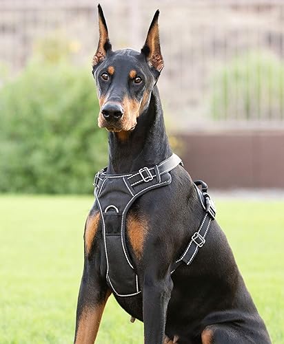 Arnés para perro (XL, negro)