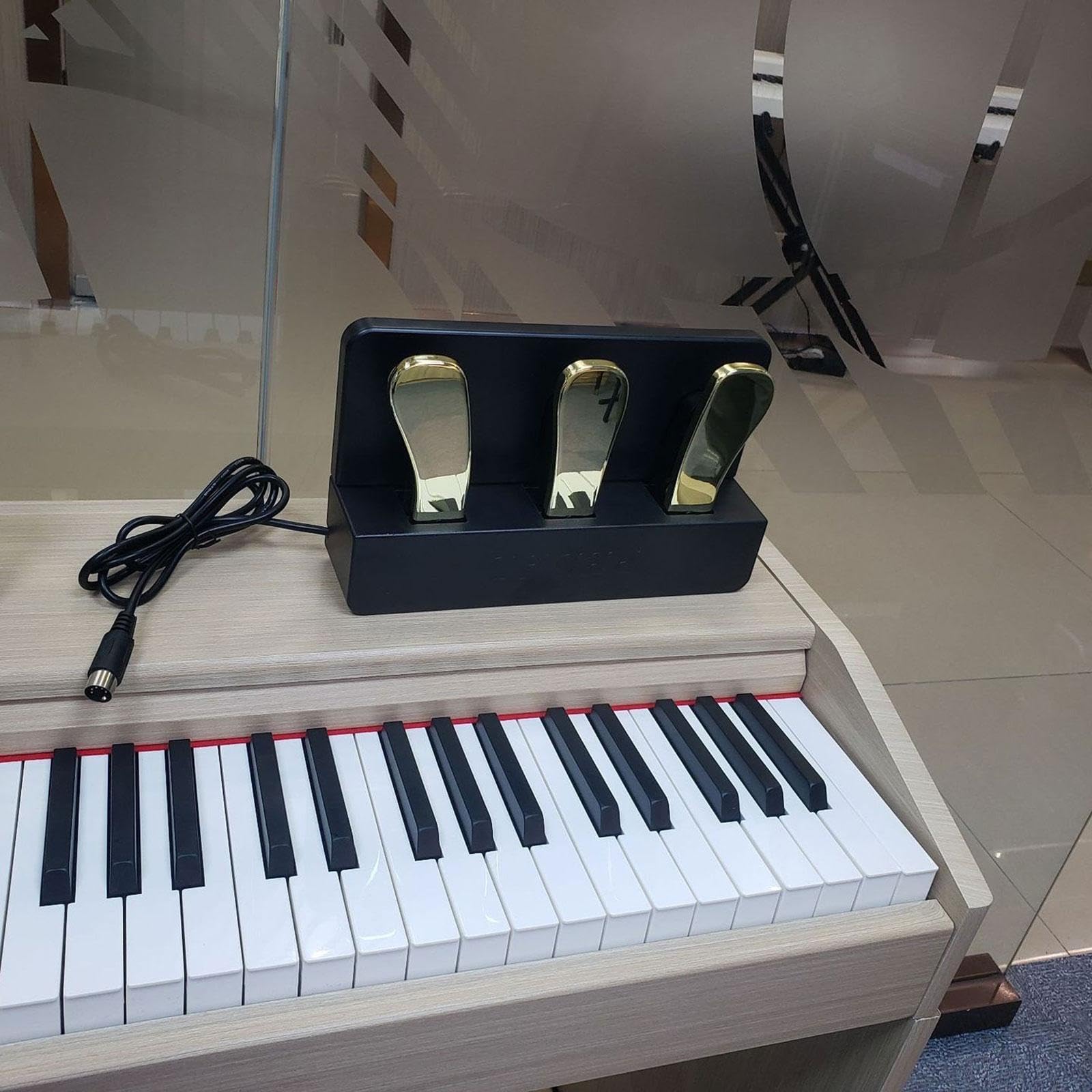 Qianly Pedal de Sostenido Compacto para Piano Pedal Sintetizador Pedal Instrumento Musical Antideslizante Resistente Adecuado para Práctica en Casa, con Tapa