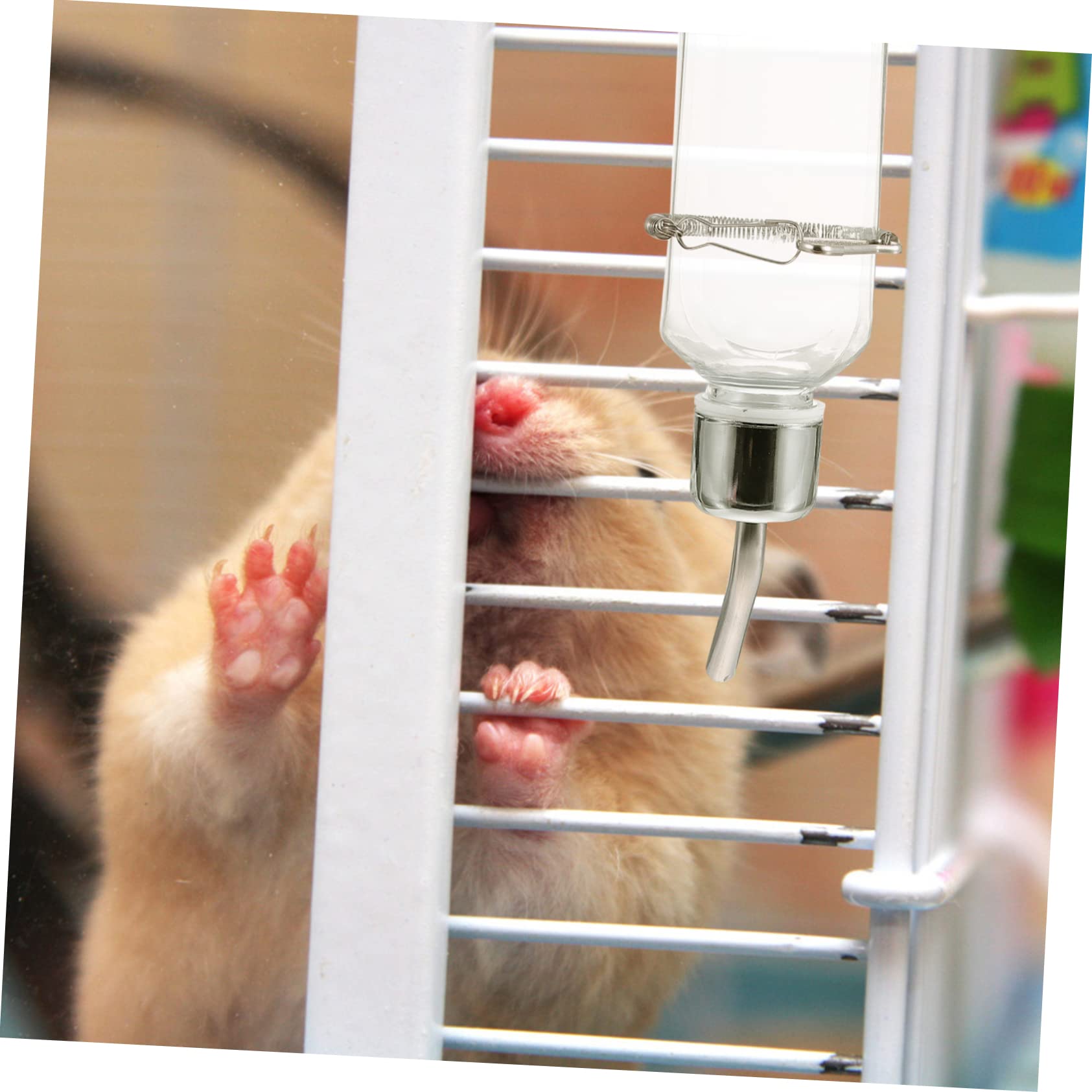 NOLITOY 6pièces Abreuvoir Suspendu Plastique pour Animaux Fontaine Eau pour Et Rongeurs Bouteille Hydratation pour Hamsters Et Petits Animaux