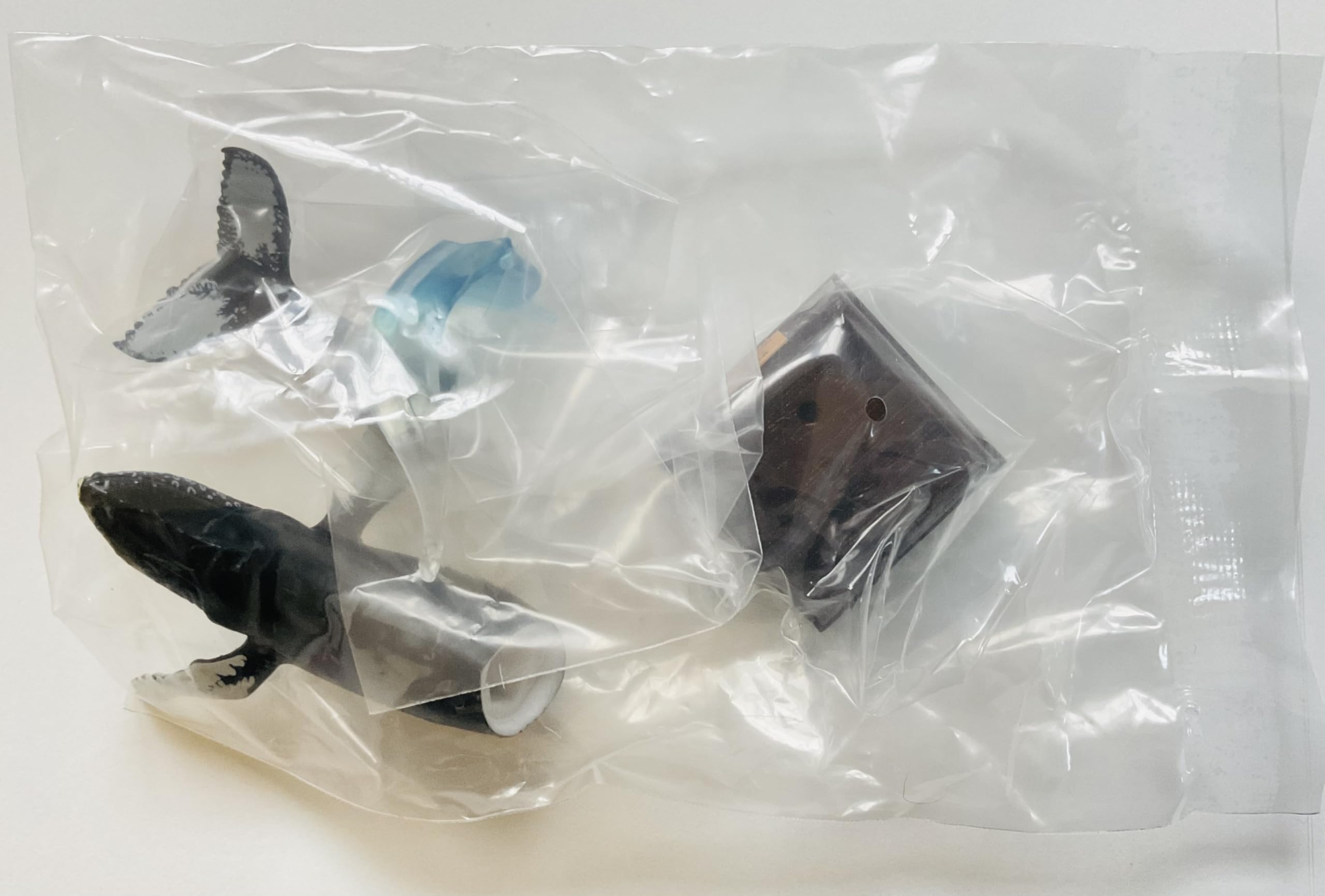 Amazon.co.jp: ネイチャーテクニカラー 海洋Ⅰ 海洋1 特装版