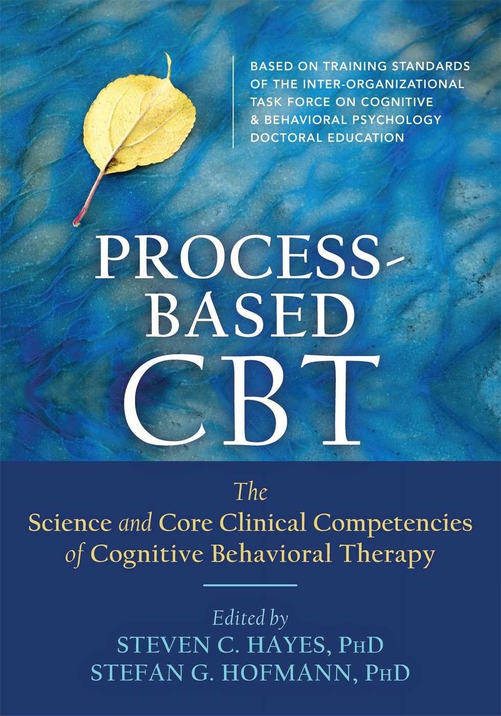 Process-Based CBT by Stefan G. Hofmann, Steven C. Hayes - 9781626255968