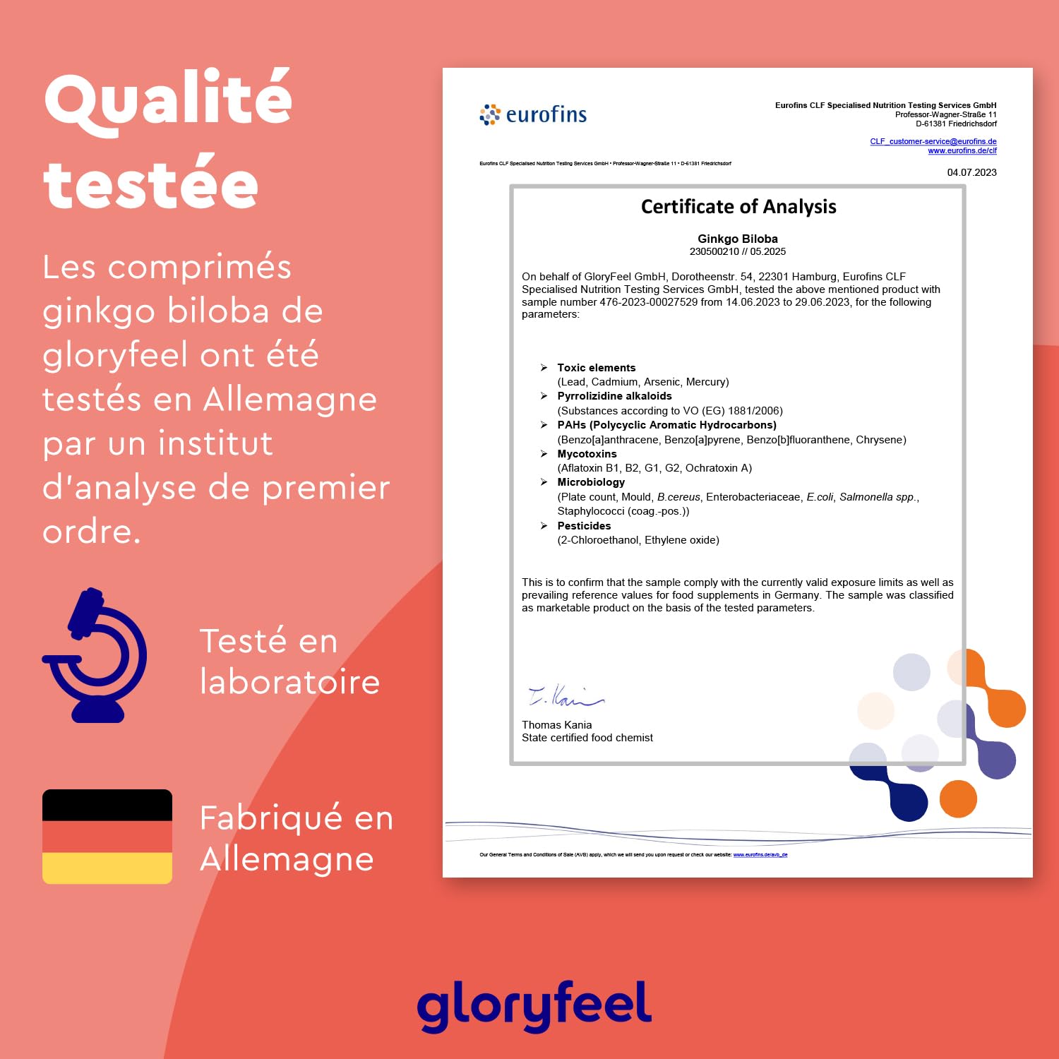 Ginkgo Biloba 3950 mg par Dose Quotidienne, 365 Comprimés, Premium Extrait de 50:1 Hautement Dosé, 19 mg de Flavonoglycosides + 4,7 mg de Lactones Terpéniques, 100% Végétalien et Sans Additifs