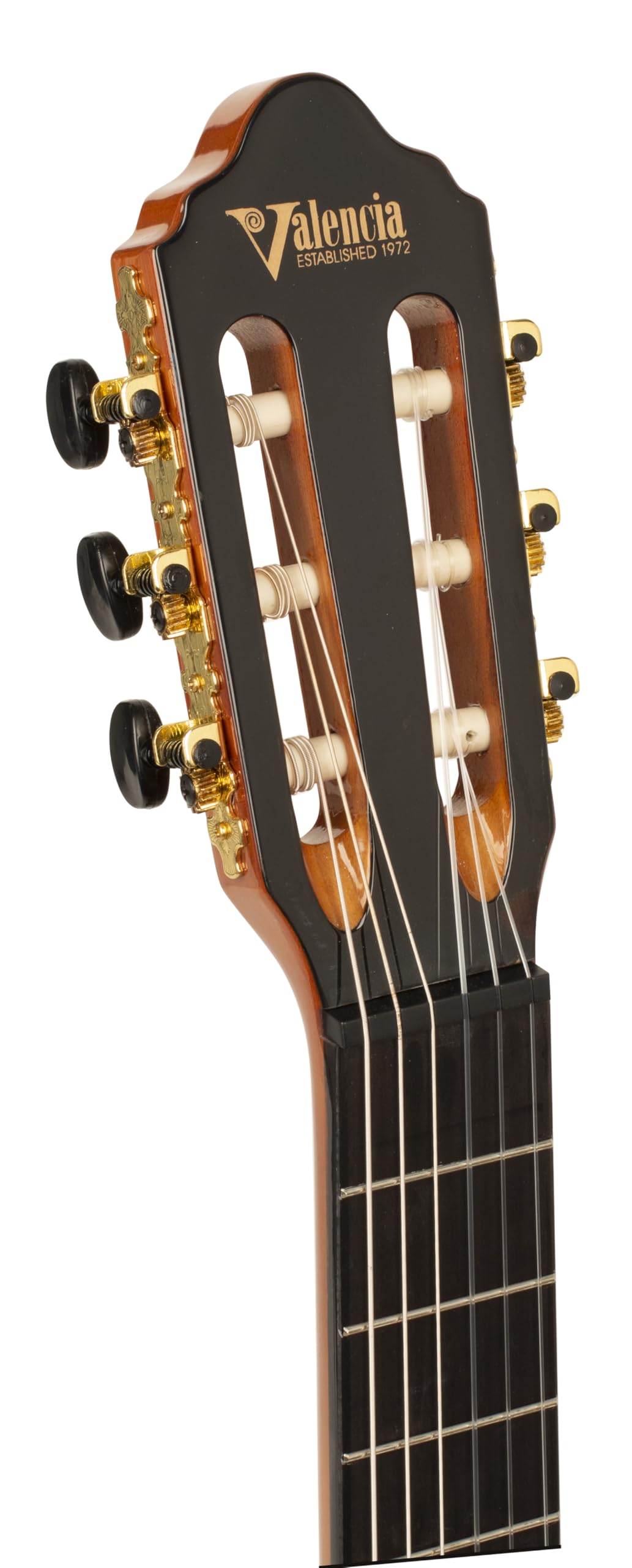 Chitarra VC264 4/4 naturale finitura lucida