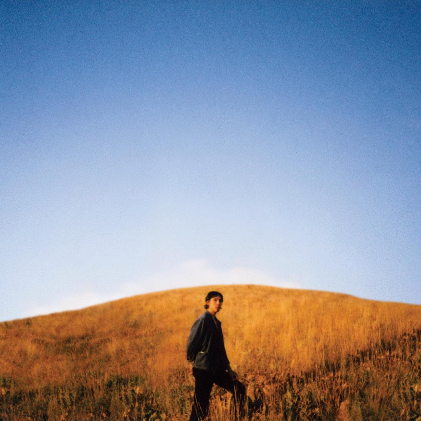 Dear Departed [VINYL]