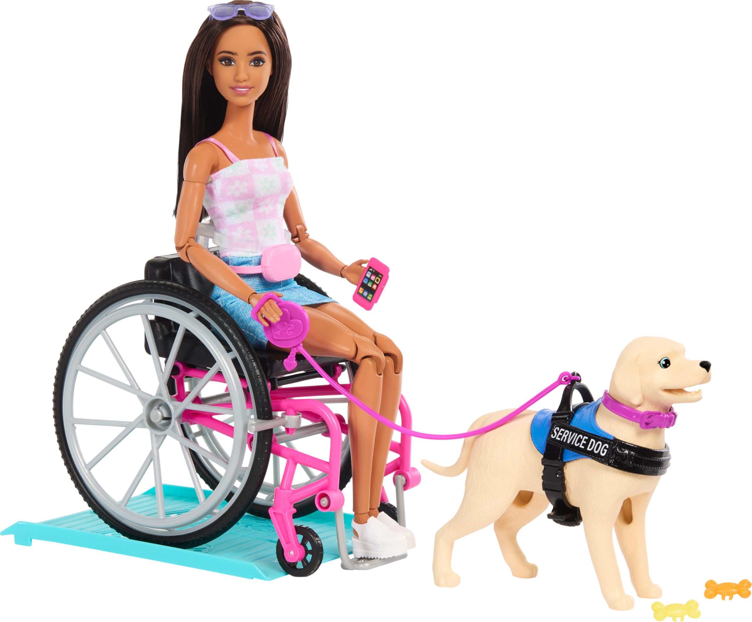 Barbie Doll & Playset with Service Dog, Pink Wheelchair, Ramp