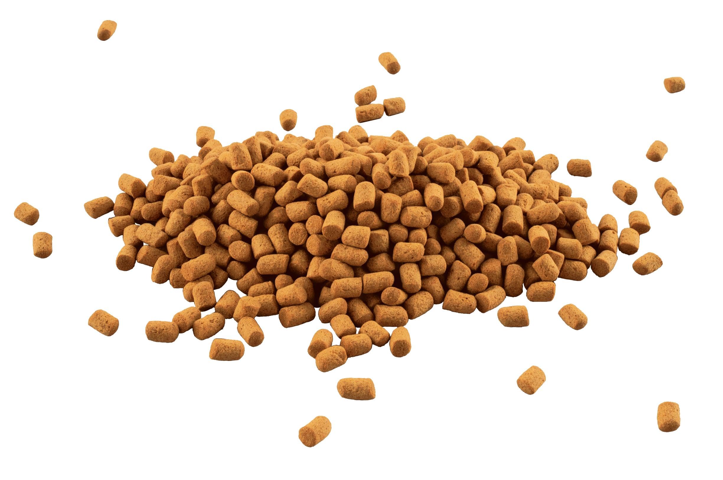 Tetra Cichlid Sticks Nourriture de Base sous Forme de granulés flottants pour cichlidés et Autres Gros Poissons d'ornement (l'emballage Peut Varier)