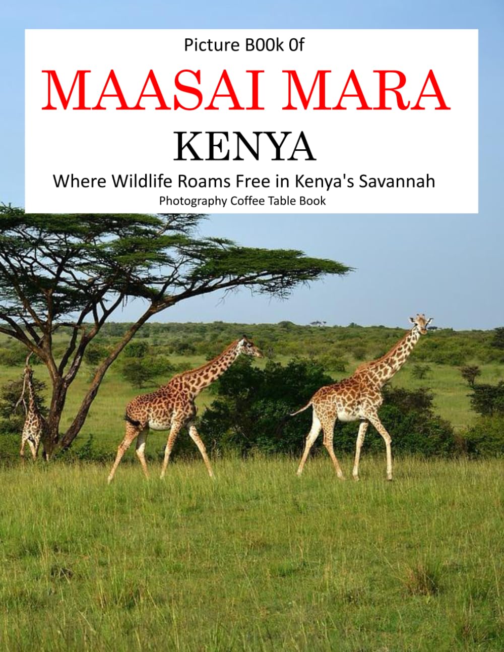 MAASAI MARA KENYA: Where Wildlife Roams Free in Kenya's Savannah