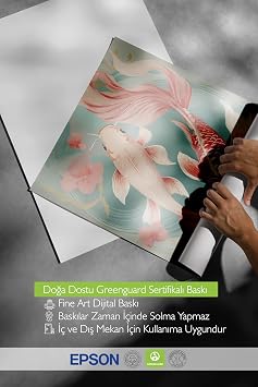 Zestia Beyaz Çerçeveli Tablo, Koi Balıkları İllüstrasyonu, Salon Dekoru Poster No: 112383 15 x 21