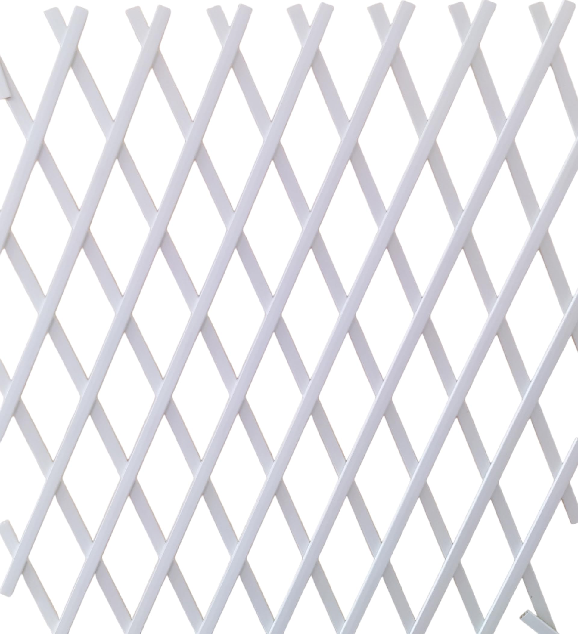 NG NICCOLAI - TRALICCIO ESTENSIBILE IN PLASTICA VARI COLORI E MISURE (1X1 MT, BIANCO)