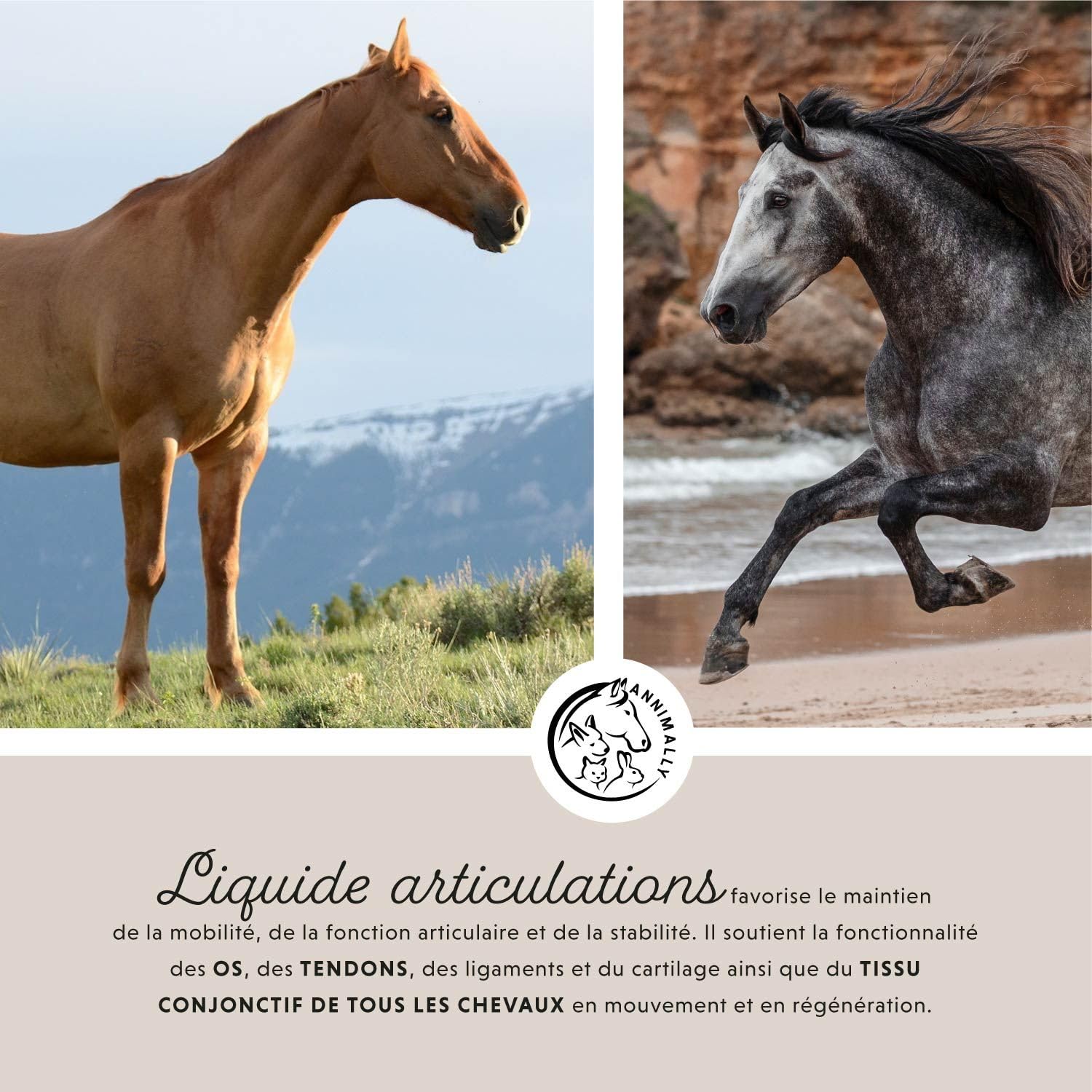 Annimally Liquide pour Articulation Cheval 1000 ML avec Griffe du Diable, Glucosamine et MSM – Renforcement Articulaire