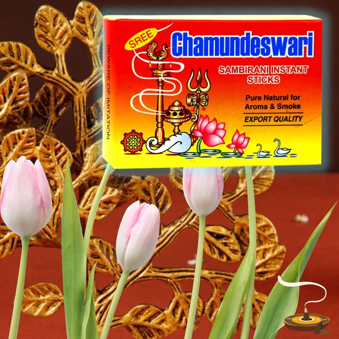 Chamundeswari Sambirani Instant Dhoop Sticks (Pack of 6 of 24 Sticks with Total 144 Sticks per Set) (B0B6SZ933W) Amazon Price History, Amazon Price Tracker