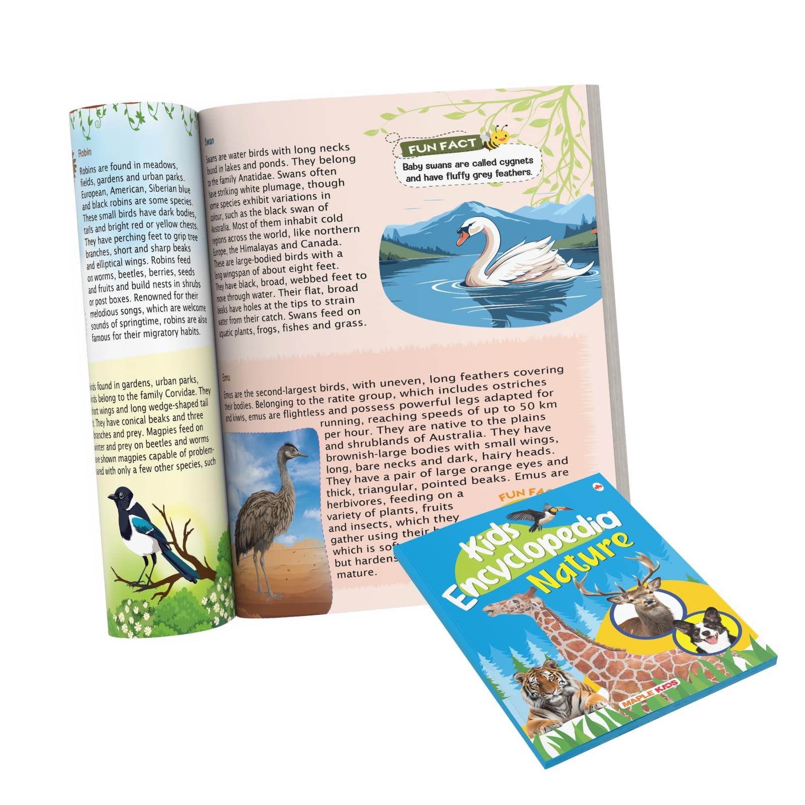 Kids Encyclopedia (Illustrated) - Nature - Knowledge Book for Kids - Age 6+ - Animals, Birds, Plants - Crustaceans - Leopard - Zooplankton - Flamingo - Seagull - Pelican - Tulip - Bamboo - Groundnut 3