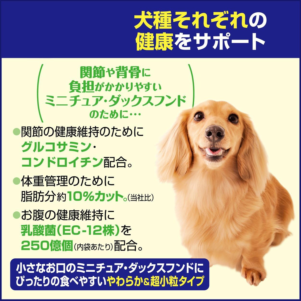 グラヒック復刻版 F154 小 ダックス 特注品 ハンドメイド Www Sibgroup Co Uk