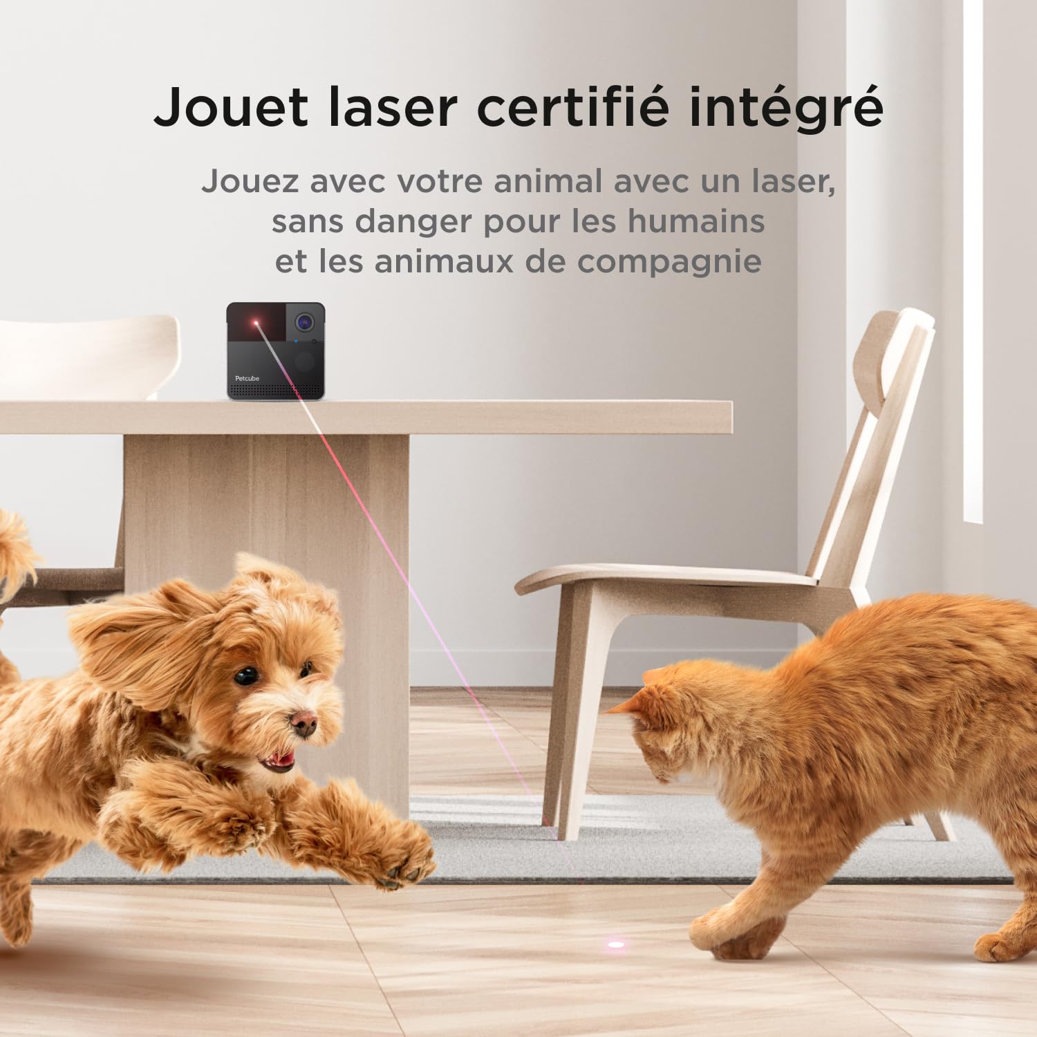 Caméra Wi-Fi Petcube Play 2 pour animaux avec jouet laser, vidéo HD 1080P, vue 160°, audio bidirectionnel, alertes IA, vision nocturne, surveillance