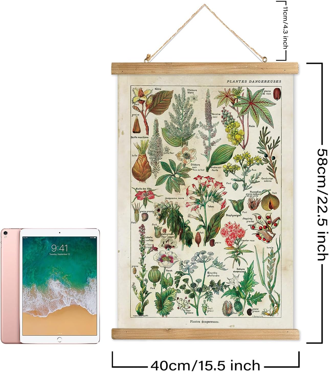 XIAOAIKA 2 Pack Vintage Plants Poster Hanger Frame, Retro Style Wall Decor Art Painting, Patterns are Printed on Linen Without Fading, Scrolls Made of Fir are Durable (16 x 23 inch)