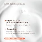 The Face Shop Rice Ceramide Moisturizing Emulsion - Rice Extract - Lightweight Face Moisturizer - Brightening - Hydrating Targets Dryness - Strengthens Skin Barrier - Face Lotion - Korean Skin Care
