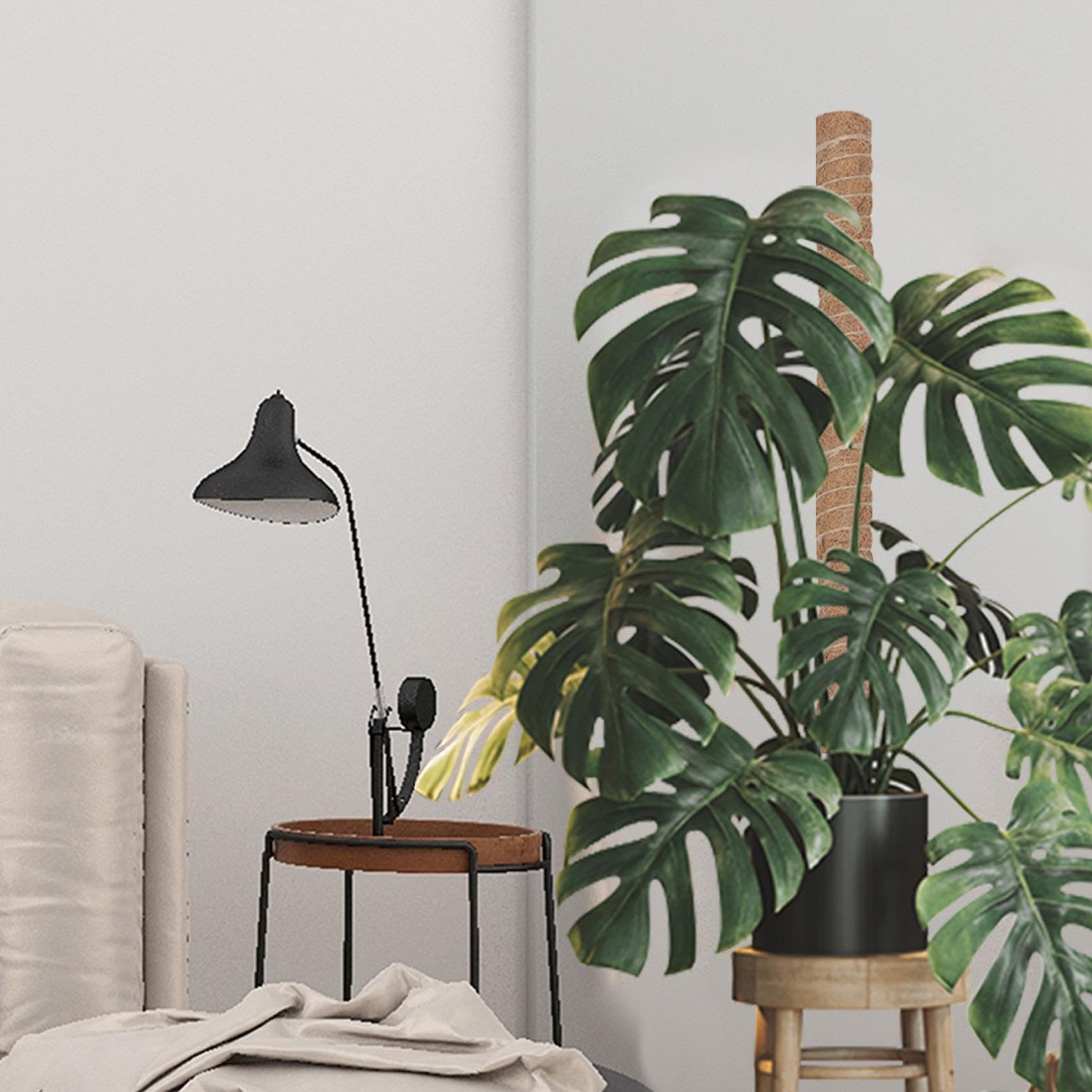 Moosstäbe Für Kletterpflanzen 4 Stück 40cm Natürliche Rankstäbe | Monstera Rankhilfe Pflanzenstütze Aus Stäben Für Efeu Wohnung Büro Balkon Garten Terrasse Gartenarbeit
