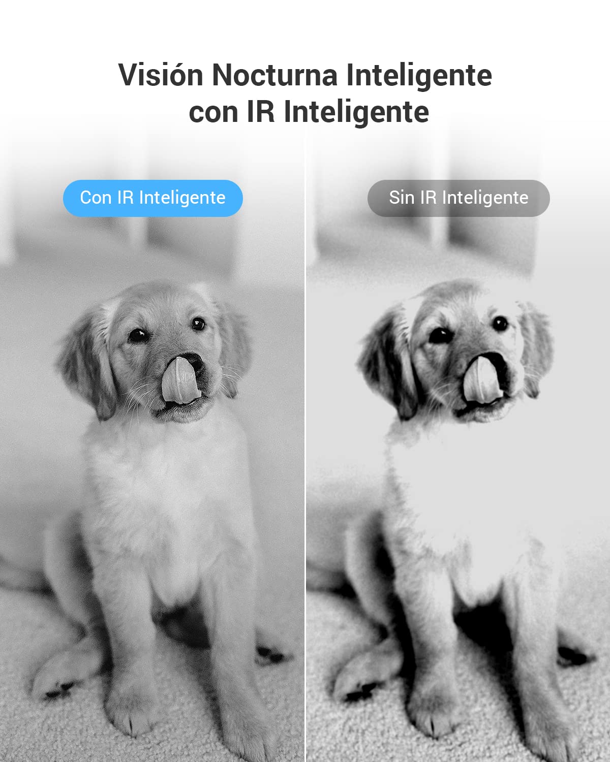 EZVIZ Cámara Vigilancia WiFi Interior 360º, 1080P Camara Vigilancia Bebe/Mascotas, Visión Nocturna, Audio Bidireccional, Detección de Movimiento, Control Remoto, Compatible con Alexa, C6N Negro