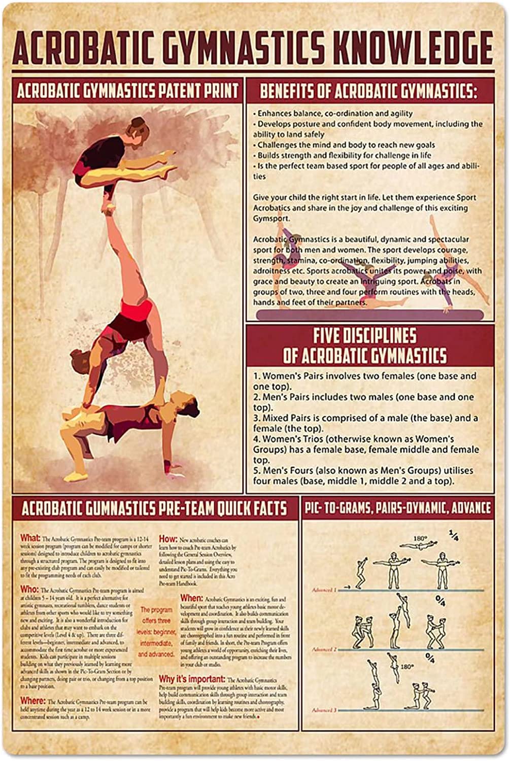 peiyeety Gymnast Infographic Metal Signs Wall Decor Acrobatic Gymnastics Knowledge Tin Posters Bedroom Club Home Science Plaque Office Studio 8" x 12"